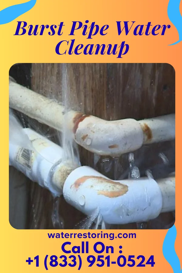 Burst Pipe Water Cleanup in Kirklin, IN