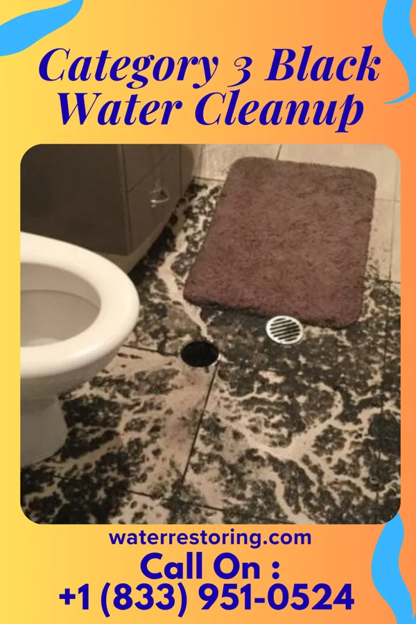 Category 3 Black Water Cleanup in Kirklin, IN