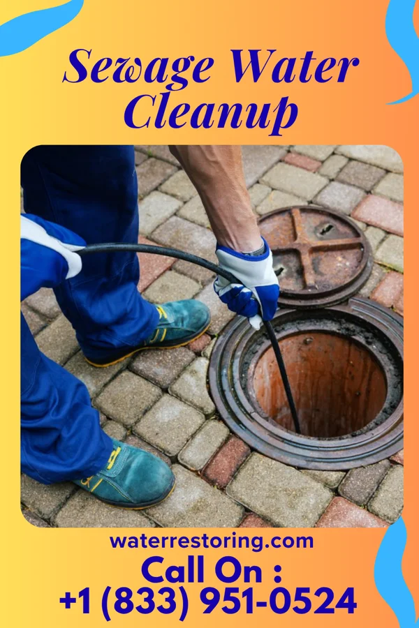 Sewage Water Cleanup in Kirklin, IN